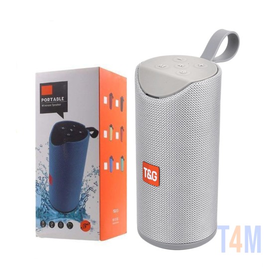 T&G PORTABLE SPEAKER TG-113 AUX/USB/MEMORY CARD 3D 10W GRAY